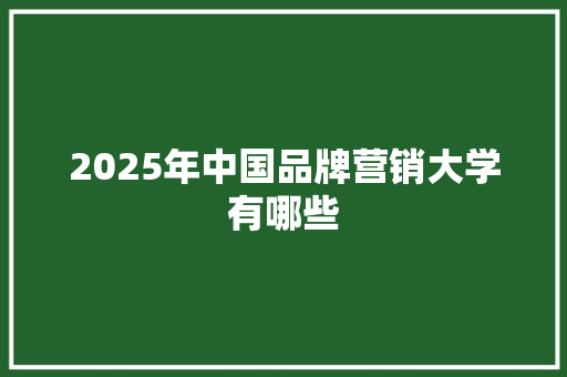 2025年中国品牌营销大学有哪些 英文简历