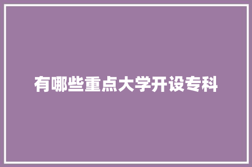 有哪些重点大学开设专科 论文