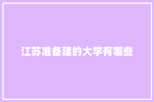 江苏准备建的大学有哪些 计算机论文
