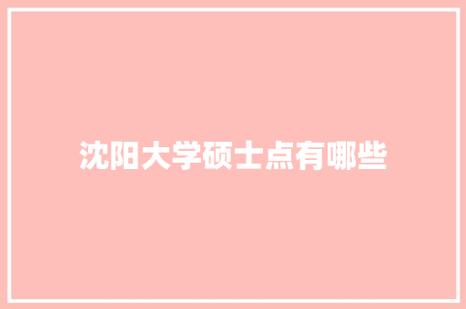 沈阳大学硕士点有哪些 办公写作