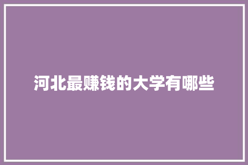 河北最赚钱的大学有哪些 简历