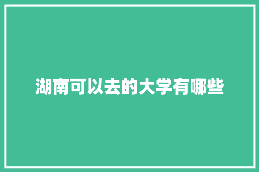 湖南可以去的大学有哪些 个人写作