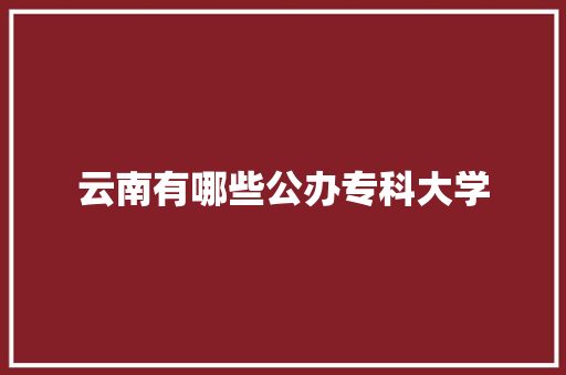 云南有哪些公办专科大学 社会论文
