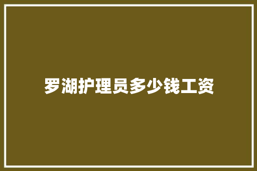 罗湖护理员多少钱工资 文秘写作
