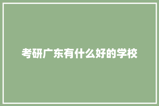 考研广东有什么好的学校 计算机论文