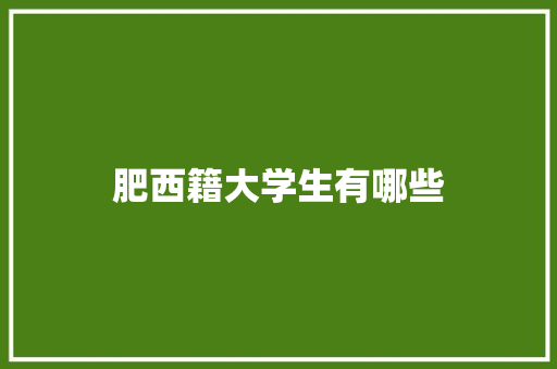肥西籍大学生有哪些 策划方案
