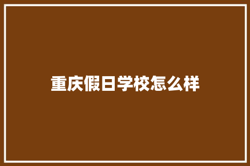 重庆假日学校怎么样 计算机论文