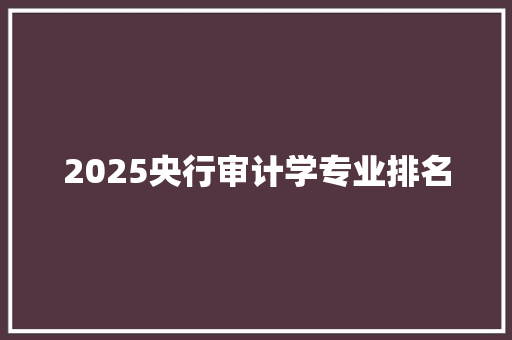 2025央行审计学专业排名 管理论文