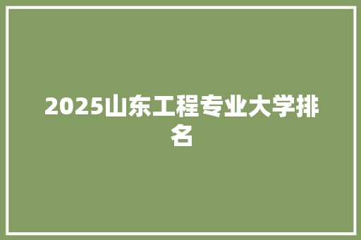 2025山东工程专业大学排名 简历资料