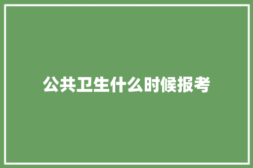 公共卫生什么时候报考 论文