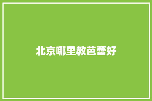北京哪里教芭蕾好 计算机论文