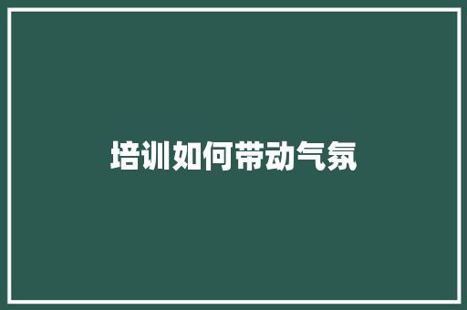 培训如何带动气氛 计算机论文