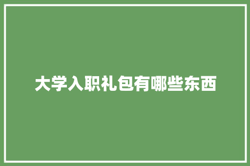 大学入职礼包有哪些东西 英文简历