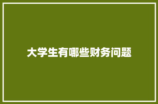 大学生有哪些财务问题 策划方案
