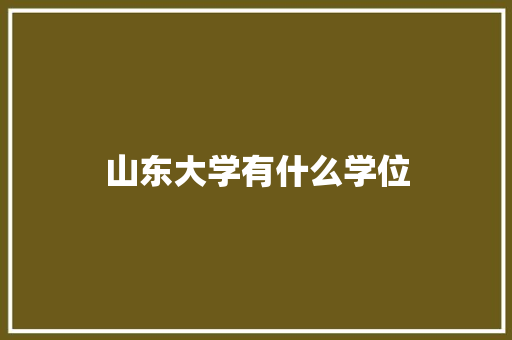 山东大学有什么学位 教育论文