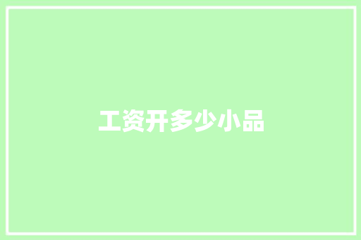 工资开多少小品 简历
