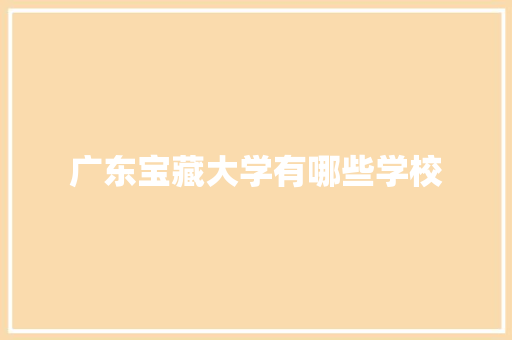广东宝藏大学有哪些学校 面试技巧