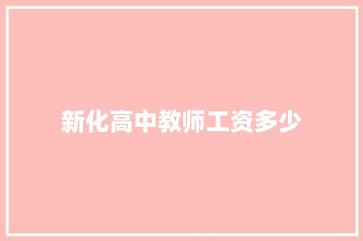 新化高中教师工资多少 计算机论文