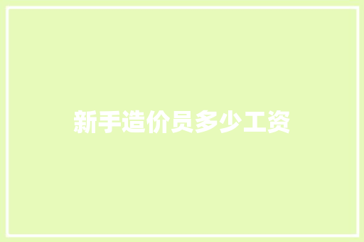 新手造价员多少工资 个人写作