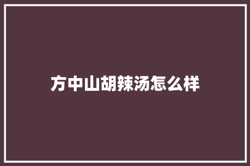 方中山胡辣汤怎么样 担保书
