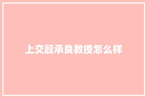 上交殷承良教授怎么样 策划方案