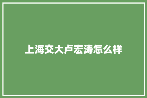 上海交大卢宏涛怎么样 简历资料