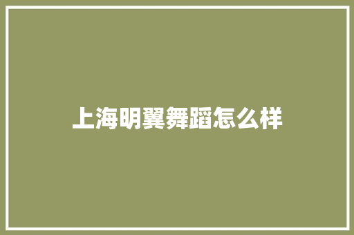 上海明翼舞蹈怎么样 计算机论文