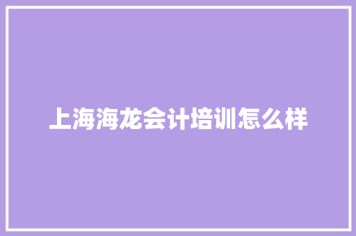 上海海龙会计培训怎么样 个人写作