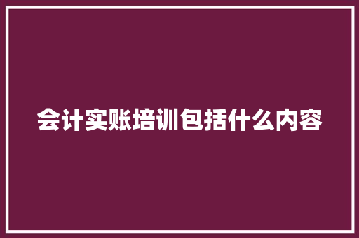 会计实账培训包括什么内容 毕业设计