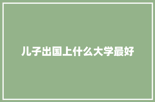 儿子出国上什么大学最好 办公写作