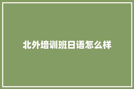 北外培训班日语怎么样 简历