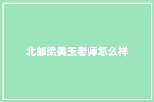 北邮梁美玉老师怎么样 英文简历