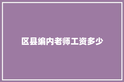 区县编内老师工资多少 论文