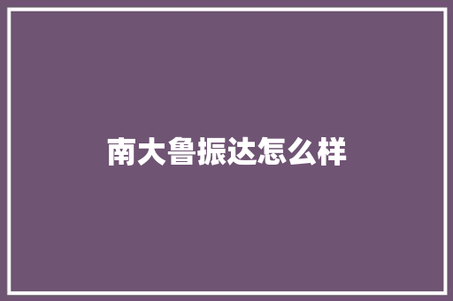 南大鲁振达怎么样 文秘写作