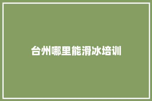 台州哪里能滑冰培训 策划方案