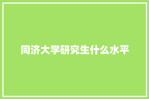 同济大学研究生什么水平 计算机论文