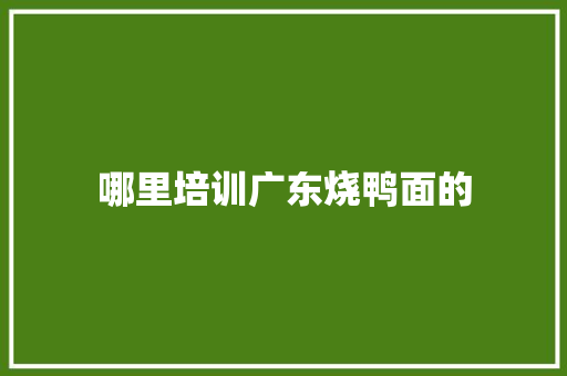 哪里培训广东烧鸭面的 条剧书信