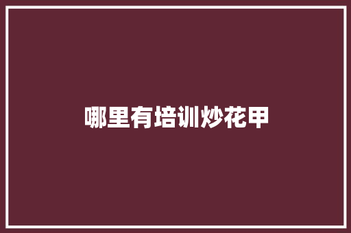 哪里有培训炒花甲 计算机论文