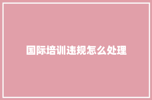 国际培训违规怎么处理 毕业设计