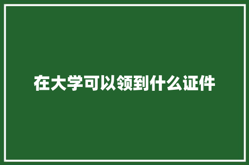 在大学可以领到什么证件 个人简历