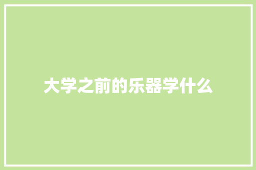 大学之前的乐器学什么 担保书