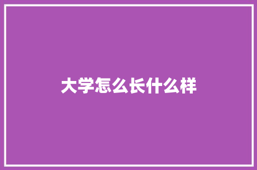 大学怎么长什么样 简历资料