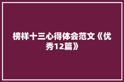 榜样十三心得体会范文《优秀12篇》 文秘写作