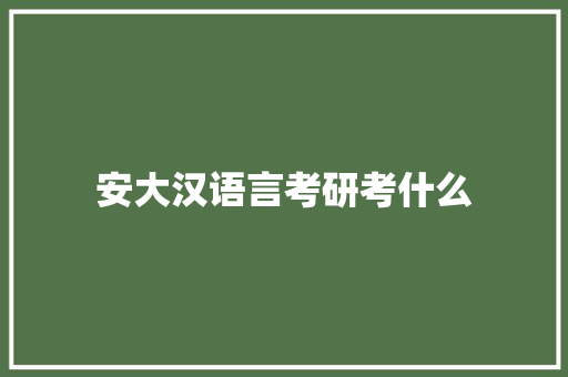 安大汉语言考研考什么 教育论文