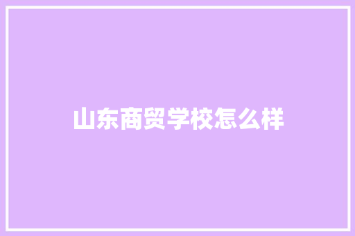 山东商贸学校怎么样 英文简历