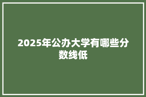 2025年公办大学有哪些分数线低 文秘写作