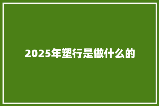 2025年塑行是做什么的 公证书