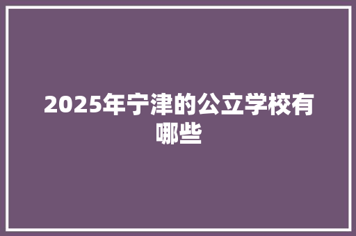 2025年宁津的公立学校有哪些 承诺书