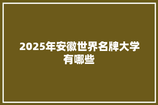 2025年安徽世界名牌大学有哪些 简历
