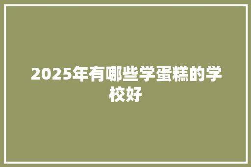2025年有哪些学蛋糕的学校好 英文简历